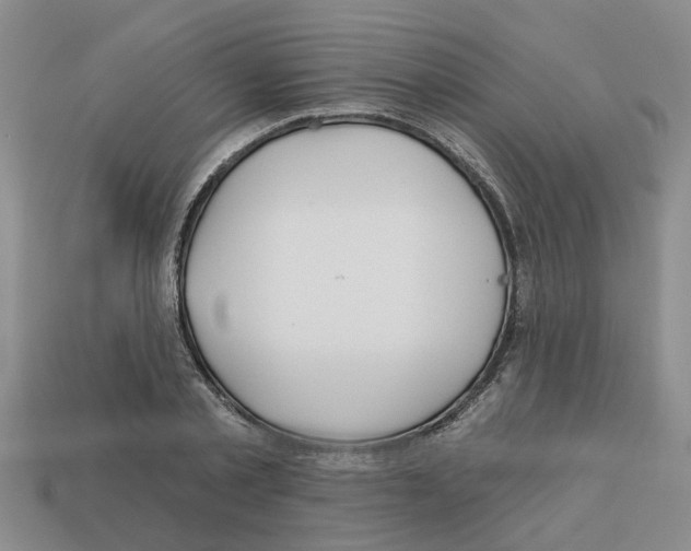 X0000112800789200910021119