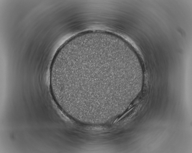 X0000112800791200910021119