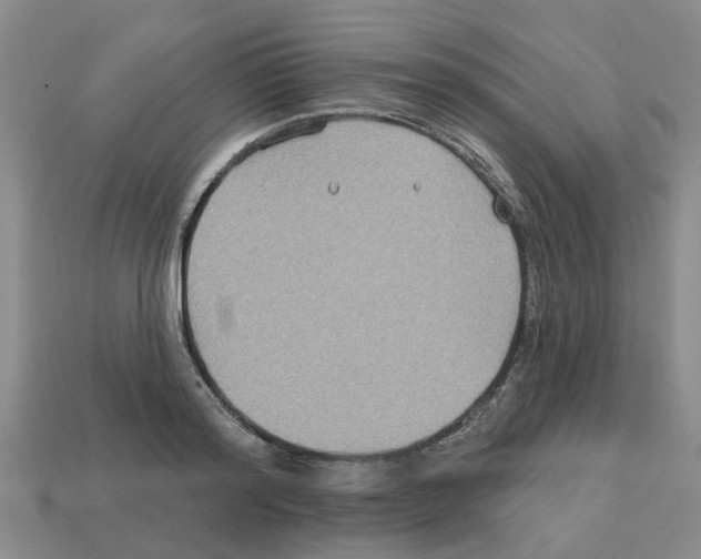 X0000112800796200910021119