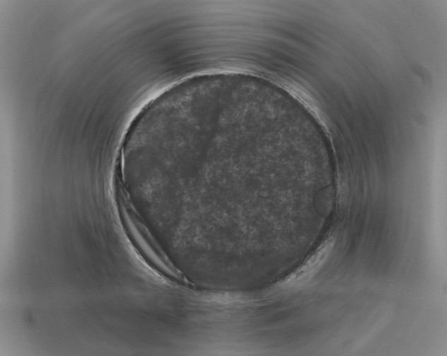 X0000112800797200910021119