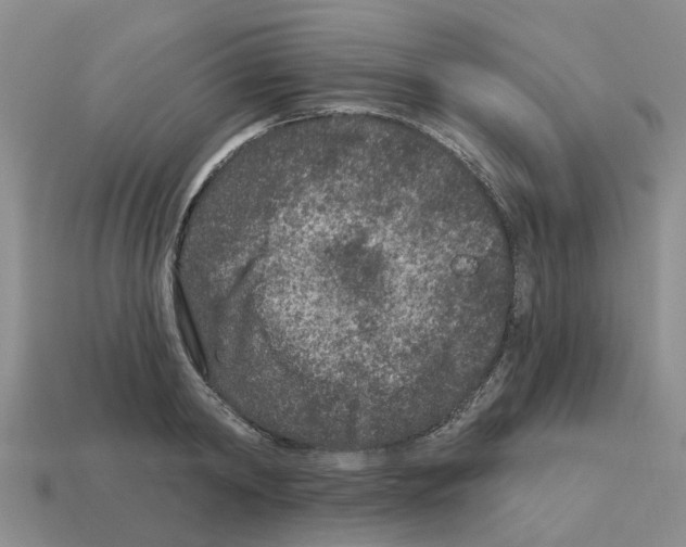 X0000112800798200910021119
