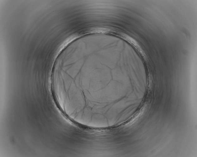 X0000112800802200910021119