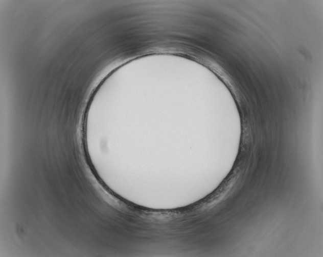 X0000112800803200910021119