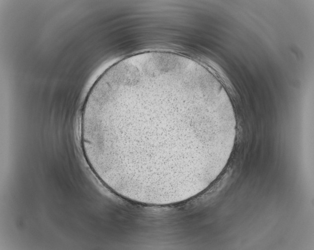 X0000112800804200910021119