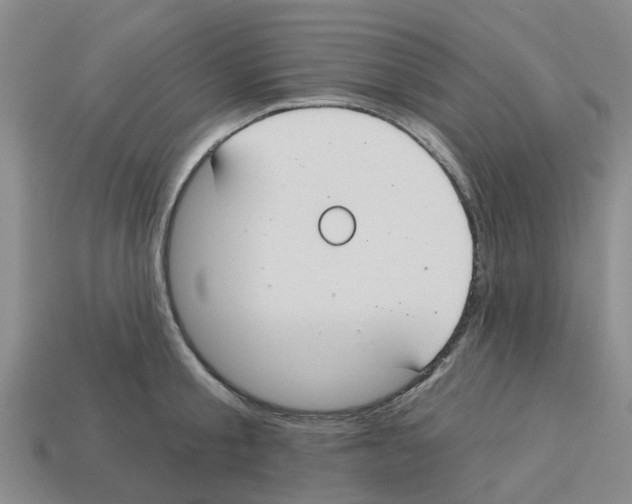 X0000112800805200910021119