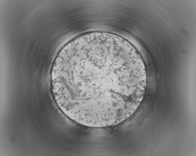 X0000112800807200910021119