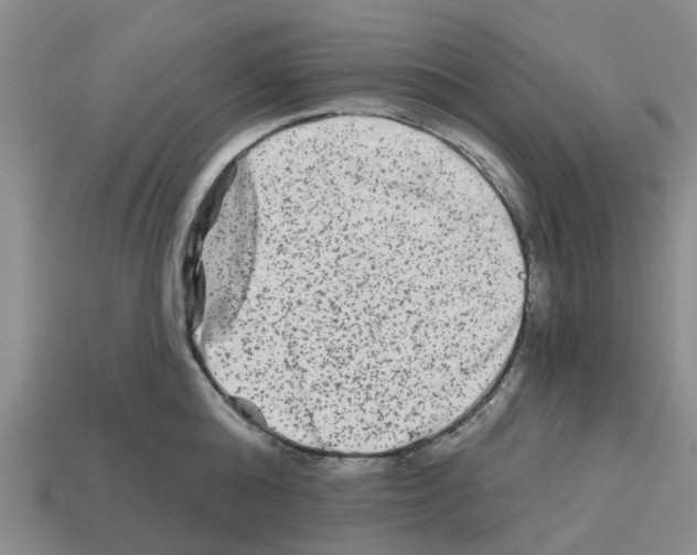 X0000112800808200910021119