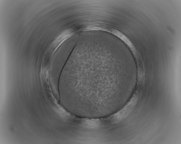 X0000112800809200910021119