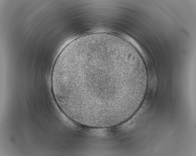 X0000112800810200910021119