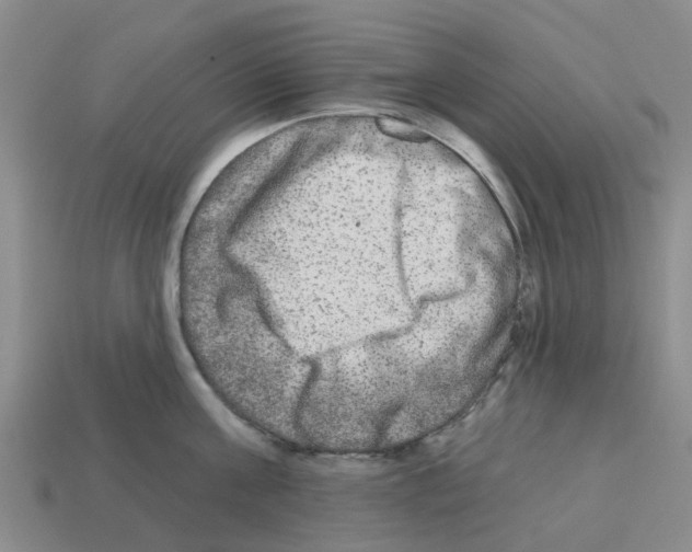X0000112800811200910021119