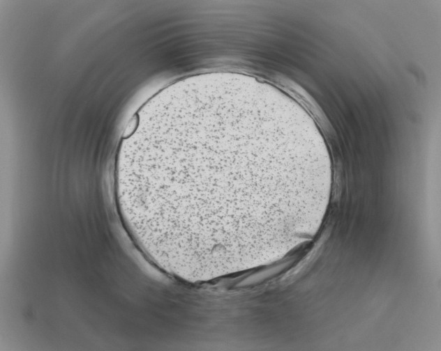X0000112800812200910021119