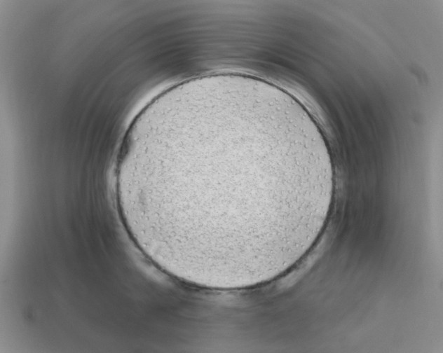 X0000112800814200910021119