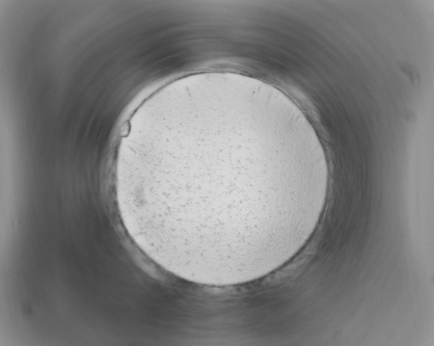 X0000112800816200910021119