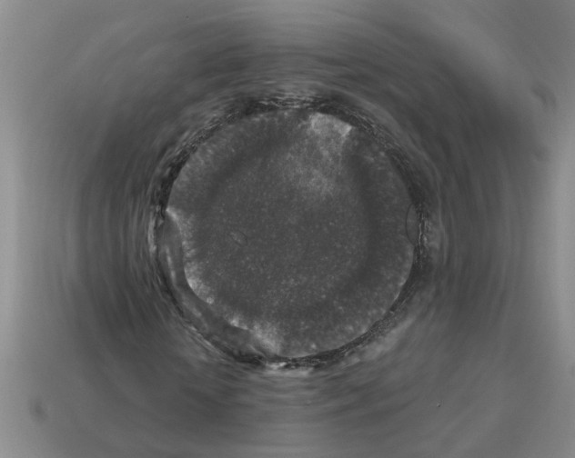 X0000112800818200910021118