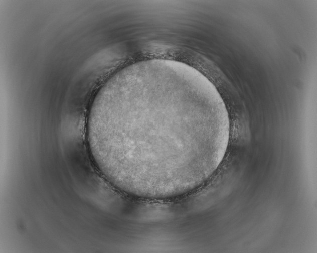 X0000112800820200910021118