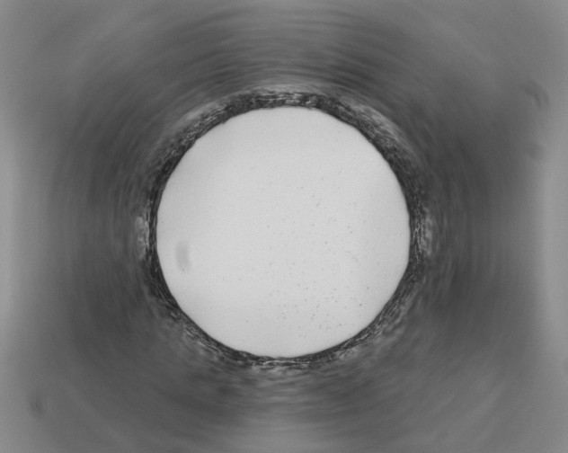 X0000112800821200910021118