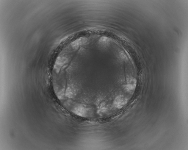 X0000112800822200910021118