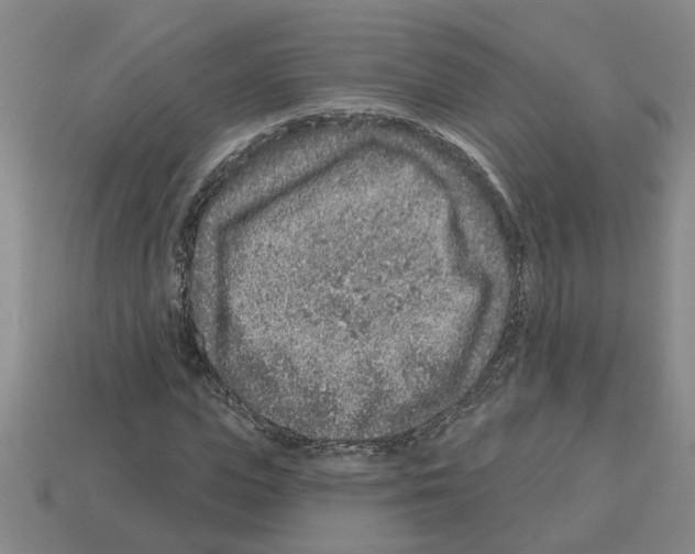 X0000112800823200910021118