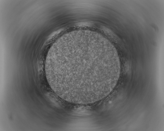 X0000112800824200910021118