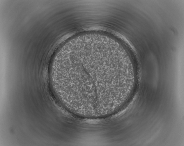 X0000112800825200910021118
