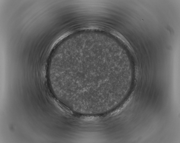 X0000112800826200910021118