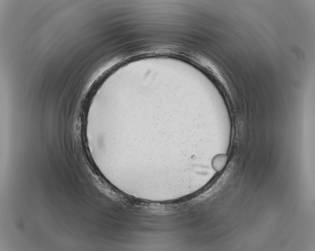 X0000112800827200910021118