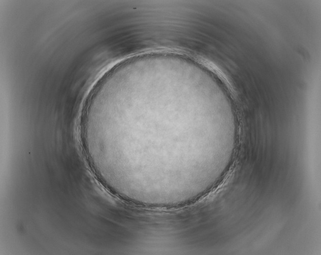 X0000112800828200910021118
