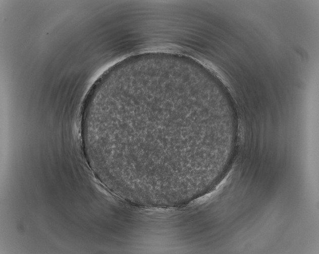 X0000112800830200910021118
