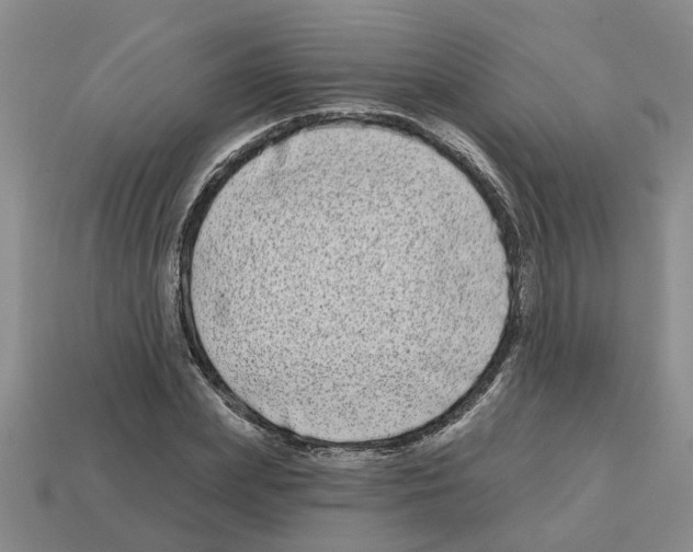 X0000112800831200910021118