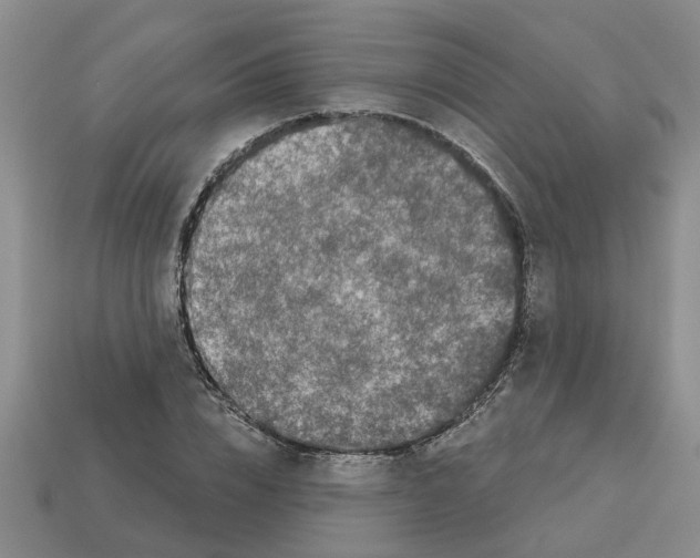 X0000112800832200910021118
