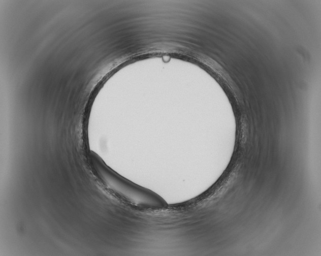 X0000112800834200910021118