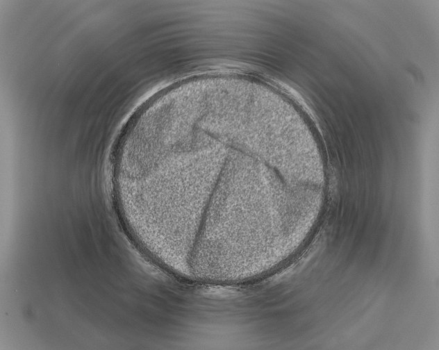 X0000112800835200910021118