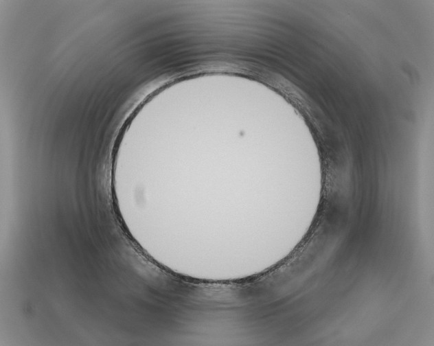 X0000112800836200910021118