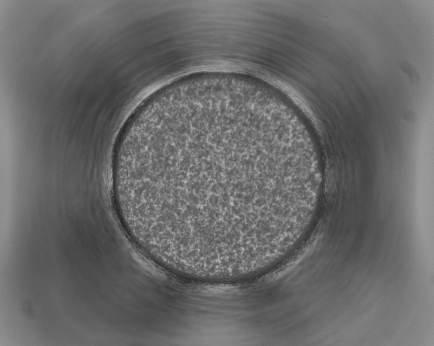 X0000112800837200910021118