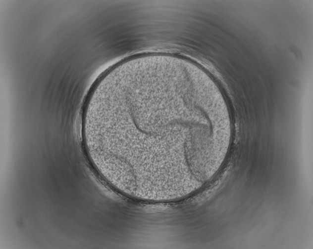 X0000112800838200910021118