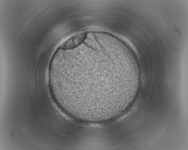 X0000112800839200910021118