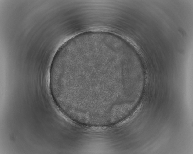 X0000112800840200910021118