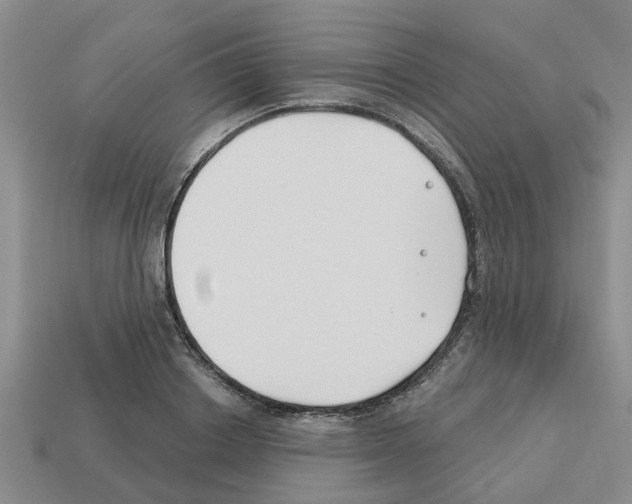 X0000112800842200910021118