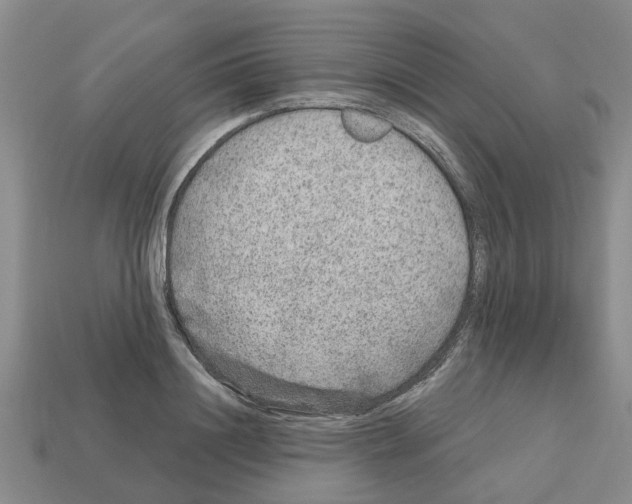 X0000112800844200910021118