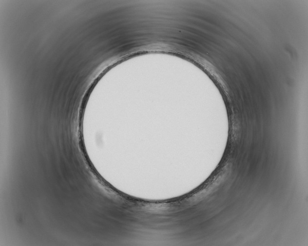 X0000112800845200910021118