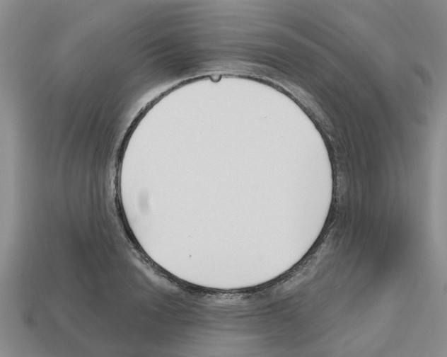 X0000112800846200910021118