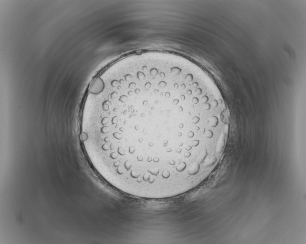X0000112800848200910021118