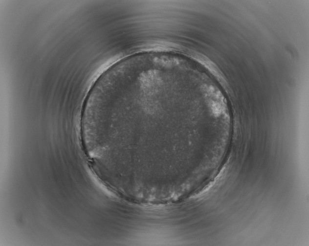 X0000112800850200910021118
