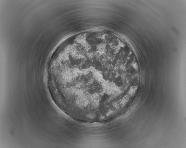 X0000112800851200910021118