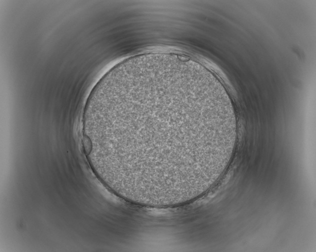 X0000112800852200910021118