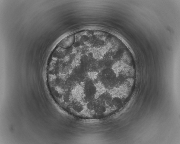 X0000112800853200910021118