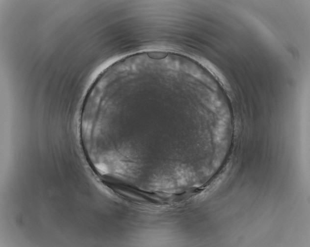 X0000112800854200910021118