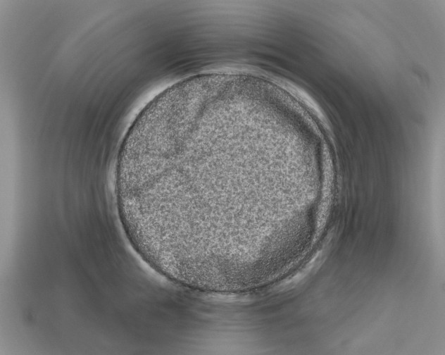 X0000112800855200910021118