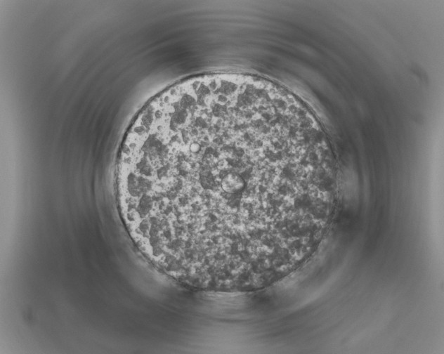 X0000112800856200910021119