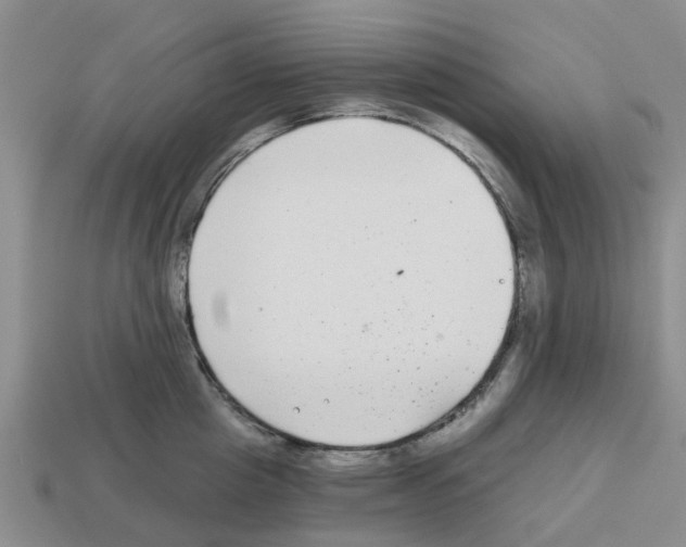 X0000112800857200910021119